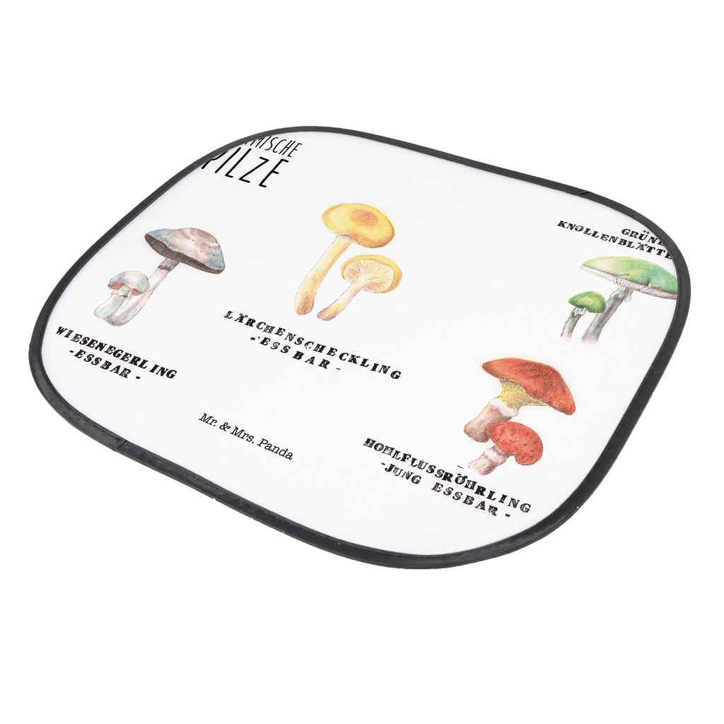 Auto Sonnenschutz Heimische Pilze Auto Sonnenschutz, Sonnenschutz Baby, Sonnenschutz Kinder, Sonne, Sonnenblende, Sonnenschutzfolie, Sonne Auto, Blumen Deko, Frühlings Deko, Sommer Deko, Dekoration, positive Botschaft, Naturliebhaber, Outdoor, Natur, Abenteuer, Pilze, Pilz, Glückspilz