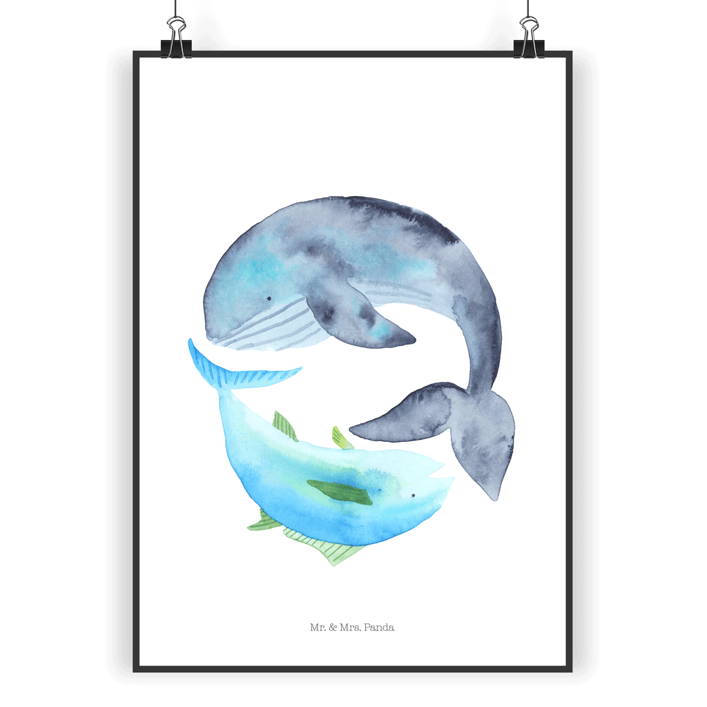 Poster Walfisch & Thunfisch Poster, Wandposter, Bild, Wanddeko, Küchenposter, Kinderposter, Wanddeko Bild, Raumdekoration, Wanddekoration, Handgemaltes Poster, Mr. & Mrs. Panda Poster, Designposter, Kunstdruck, Posterdruck, Tiermotive, Gute Laune, lustige Sprüche, Tiere, Wal, Wahl, Tunfisch, Wortwitz lustig, Spruch lustig, Flachwitz, Witz, Spruch des Tages, Flachwitz Geschenk