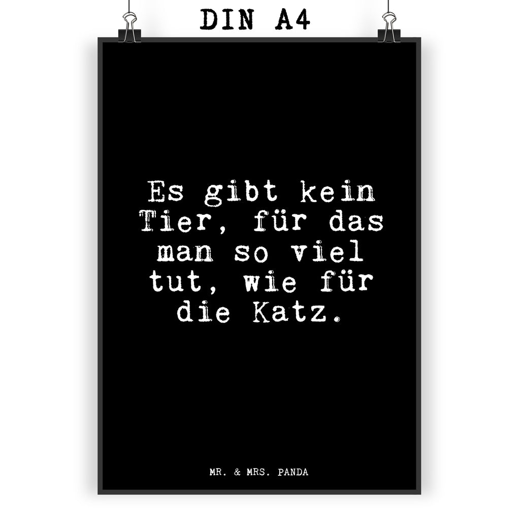 Poster Fun Talk Es gibt kein Tier, für das man so viel tut, wie für die Katz. Poster, Wandposter, Bild, Wanddeko, Küchenposter, Kinderposter, Wanddeko Bild, Raumdekoration, Wanddekoration, Handgemaltes Poster, Mr. & Mrs. Panda Poster, Designposter, Kunstdruck, Posterdruck, Spruch, Sprüche, lustig, Weisheiten, Zitate, Glizer Spruch Sprüche Weisheiten Zitate Lustig Weisheit Worte