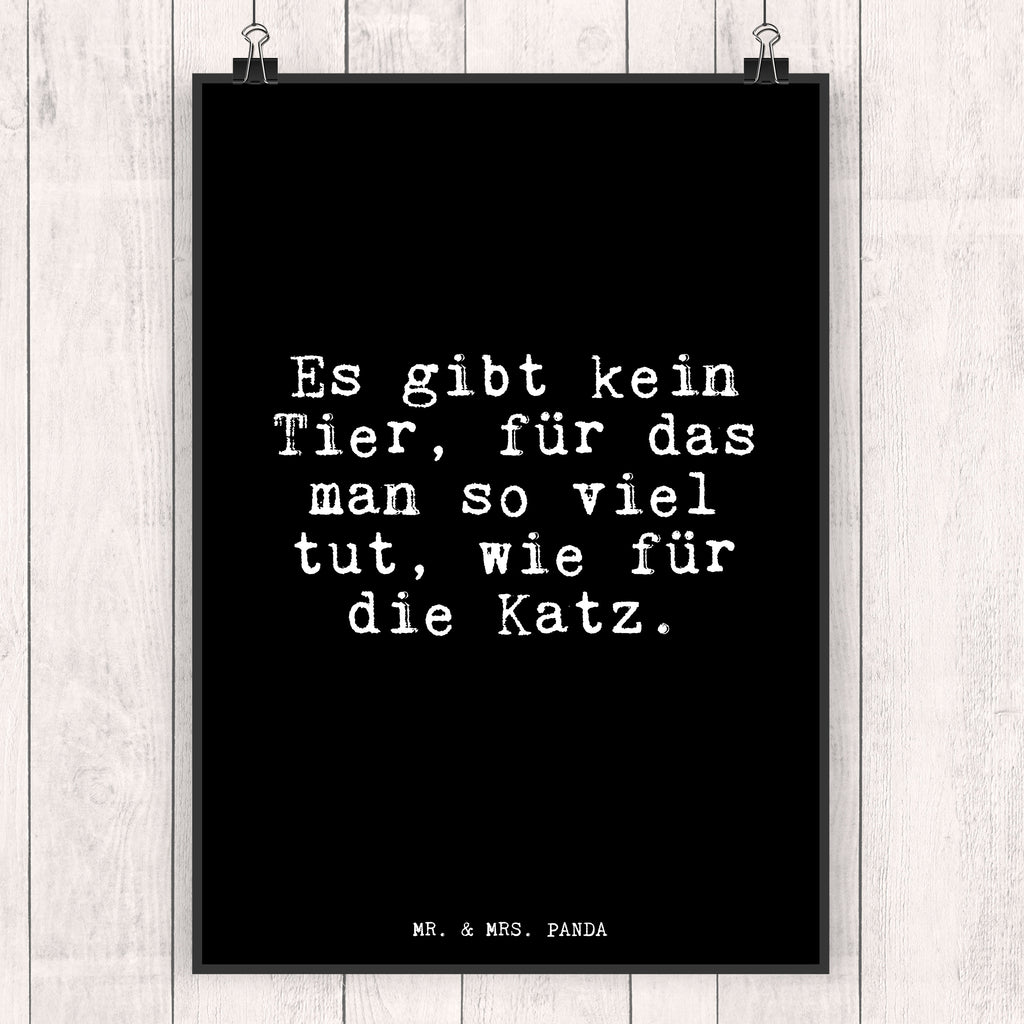 Poster Fun Talk Es gibt kein Tier, für das man so viel tut, wie für die Katz. Poster, Wandposter, Bild, Wanddeko, Küchenposter, Kinderposter, Wanddeko Bild, Raumdekoration, Wanddekoration, Handgemaltes Poster, Mr. & Mrs. Panda Poster, Designposter, Kunstdruck, Posterdruck, Spruch, Sprüche, lustig, Weisheiten, Zitate, Glizer Spruch Sprüche Weisheiten Zitate Lustig Weisheit Worte