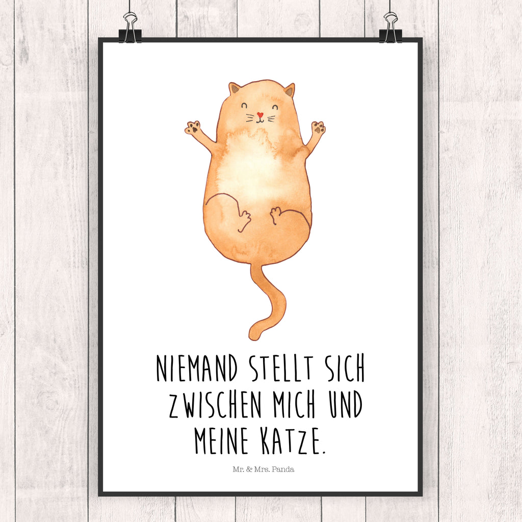 Poster Katzen Umarmen Poster, Wandposter, Bild, Wanddeko, Küchenposter, Kinderposter, Wanddeko Bild, Raumdekoration, Wanddekoration, Handgemaltes Poster, Mr. & Mrs. Panda Poster, Designposter, Kunstdruck, Posterdruck, Katze, Katzenmotiv, Katzenfan, Katzendeko, Katzenfreund, Katzenliebhaber, Katzenprodukte, Katzenartikel, Katzenaccessoires, Katzensouvenirs, Katzenliebhaberprodukte, Katzenmotive, Katzen, Kater, Mietze, Cat, Cats, Katzenhalter, Katzenbesitzerin, Haustier, Freundin, Freunde, beste Freunde, Liebe, Katzenliebe, Familie