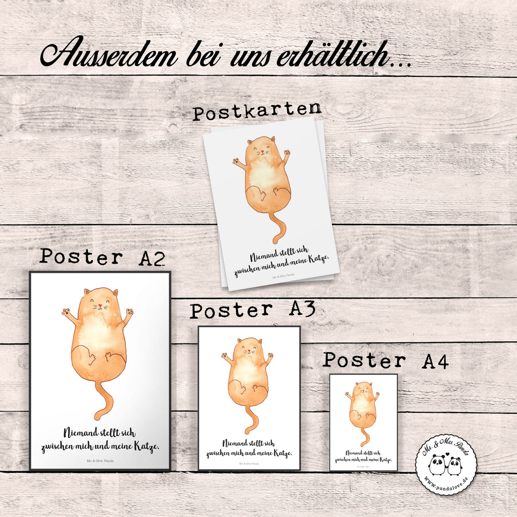 Poster Katzen Umarmen Poster, Wandposter, Bild, Wanddeko, Küchenposter, Kinderposter, Wanddeko Bild, Raumdekoration, Wanddekoration, Handgemaltes Poster, Mr. & Mrs. Panda Poster, Designposter, Kunstdruck, Posterdruck, Katze, Katzenmotiv, Katzenfan, Katzendeko, Katzenfreund, Katzenliebhaber, Katzenprodukte, Katzenartikel, Katzenaccessoires, Katzensouvenirs, Katzenliebhaberprodukte, Katzenmotive, Katzen, Kater, Mietze, Cat, Cats, Katzenhalter, Katzenbesitzerin, Haustier, Freundin, Freunde, beste Freunde, Liebe, Katzenliebe, Familie