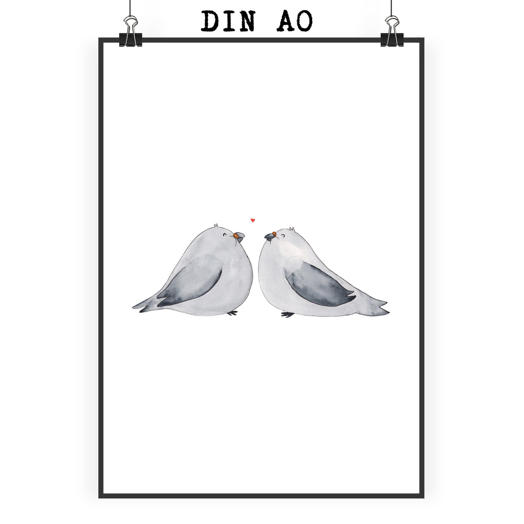 Poster Turteltauben Liebe Poster, Wandposter, Bild, Wanddeko, Küchenposter, Kinderposter, Wanddeko Bild, Raumdekoration, Wanddekoration, Handgemaltes Poster, Mr. & Mrs. Panda Poster, Designposter, Kunstdruck, Posterdruck, Liebe, Partner, Freund, Freundin, Ehemann, Ehefrau, Heiraten, Verlobung, Heiratsantrag, Liebesgeschenk, Jahrestag, Hocheitstag, Turteltauben, Turteltäubchen, Tauben, Verliebt, Verlobt, Verheiratet, Geschenk Freundin, Geschenk Freund, Liebesbeweis, Hochzeitstag, Geschenk Hochzeit