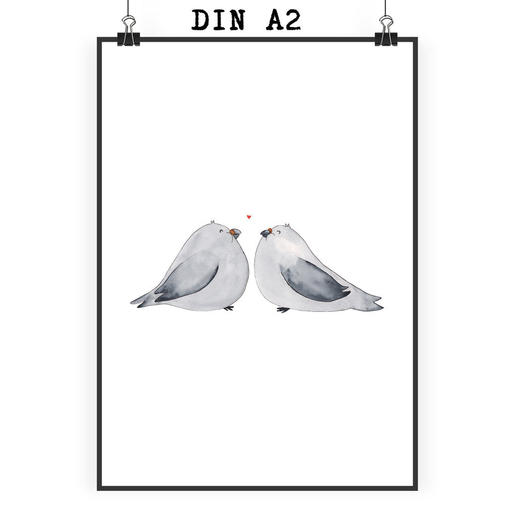 Poster Turteltauben Liebe Poster, Wandposter, Bild, Wanddeko, Küchenposter, Kinderposter, Wanddeko Bild, Raumdekoration, Wanddekoration, Handgemaltes Poster, Mr. & Mrs. Panda Poster, Designposter, Kunstdruck, Posterdruck, Liebe, Partner, Freund, Freundin, Ehemann, Ehefrau, Heiraten, Verlobung, Heiratsantrag, Liebesgeschenk, Jahrestag, Hocheitstag, Turteltauben, Turteltäubchen, Tauben, Verliebt, Verlobt, Verheiratet, Geschenk Freundin, Geschenk Freund, Liebesbeweis, Hochzeitstag, Geschenk Hochzeit