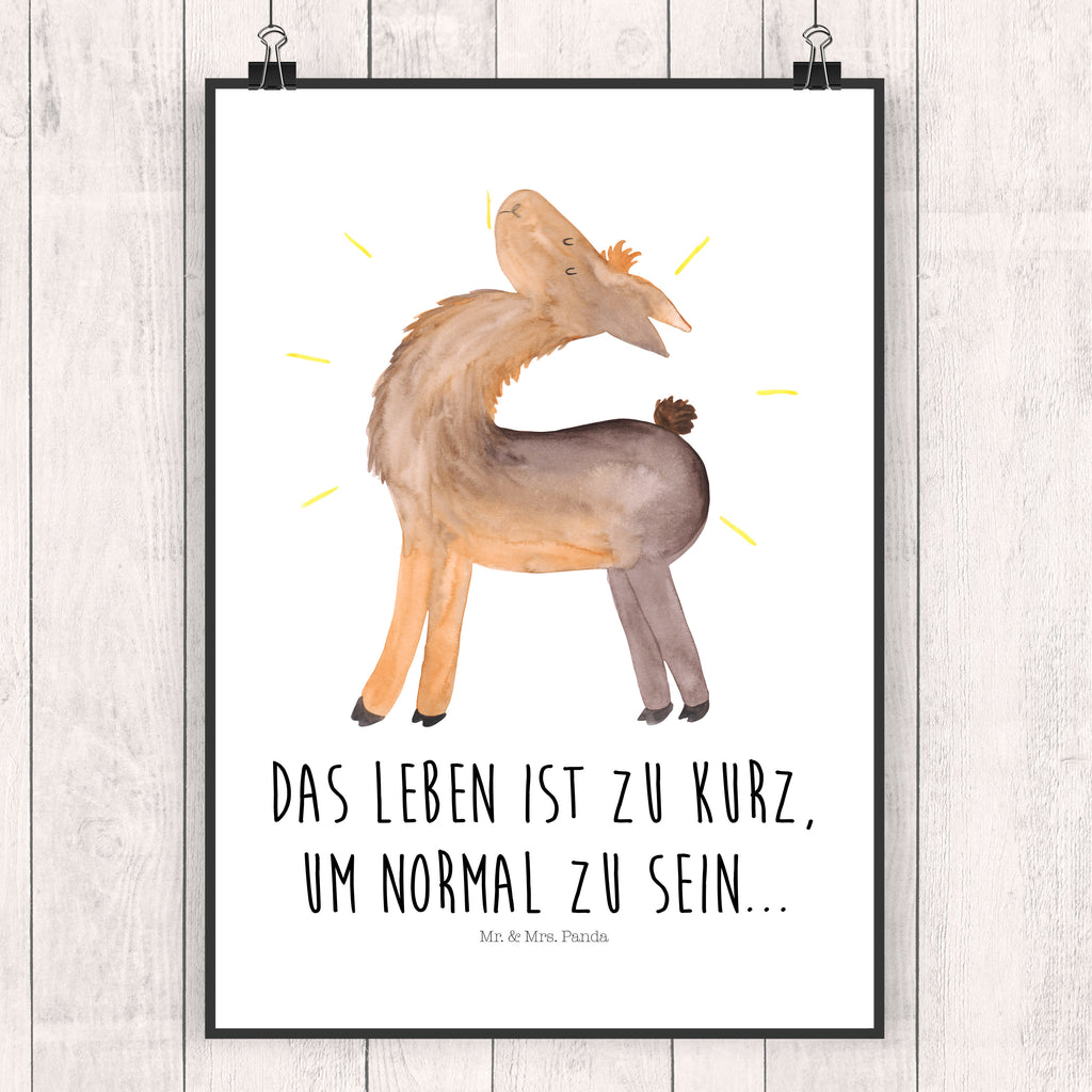 Poster Lama stolz Poster, Wandposter, Bild, Wanddeko, Küchenposter, Kinderposter, Wanddeko Bild, Raumdekoration, Wanddekoration, Handgemaltes Poster, Mr. & Mrs. Panda Poster, Designposter, Kunstdruck, Posterdruck, Lama, Alpaka, Lamas, Außenseiter, Anders, Neustart, stolz, Hippie, Freundin, Freundinnen, beste Freundin, Kumpel, Familie, Family