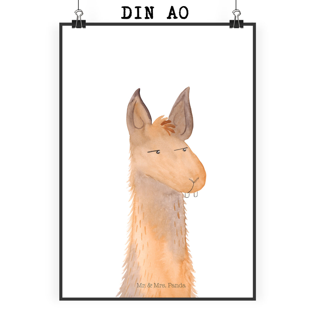 Poster Lamakopf genervt Poster, Wandposter, Bild, Wanddeko, Küchenposter, Kinderposter, Wanddeko Bild, Raumdekoration, Wanddekoration, Handgemaltes Poster, Mr. & Mrs. Panda Poster, Designposter, Kunstdruck, Posterdruck, Lama, Alpaka, Lamas, Recht haben, genervt sein, Freundin, beste Freundin, Partnerin, Büro, Büroalltag, Chef, Chefin, Azubi