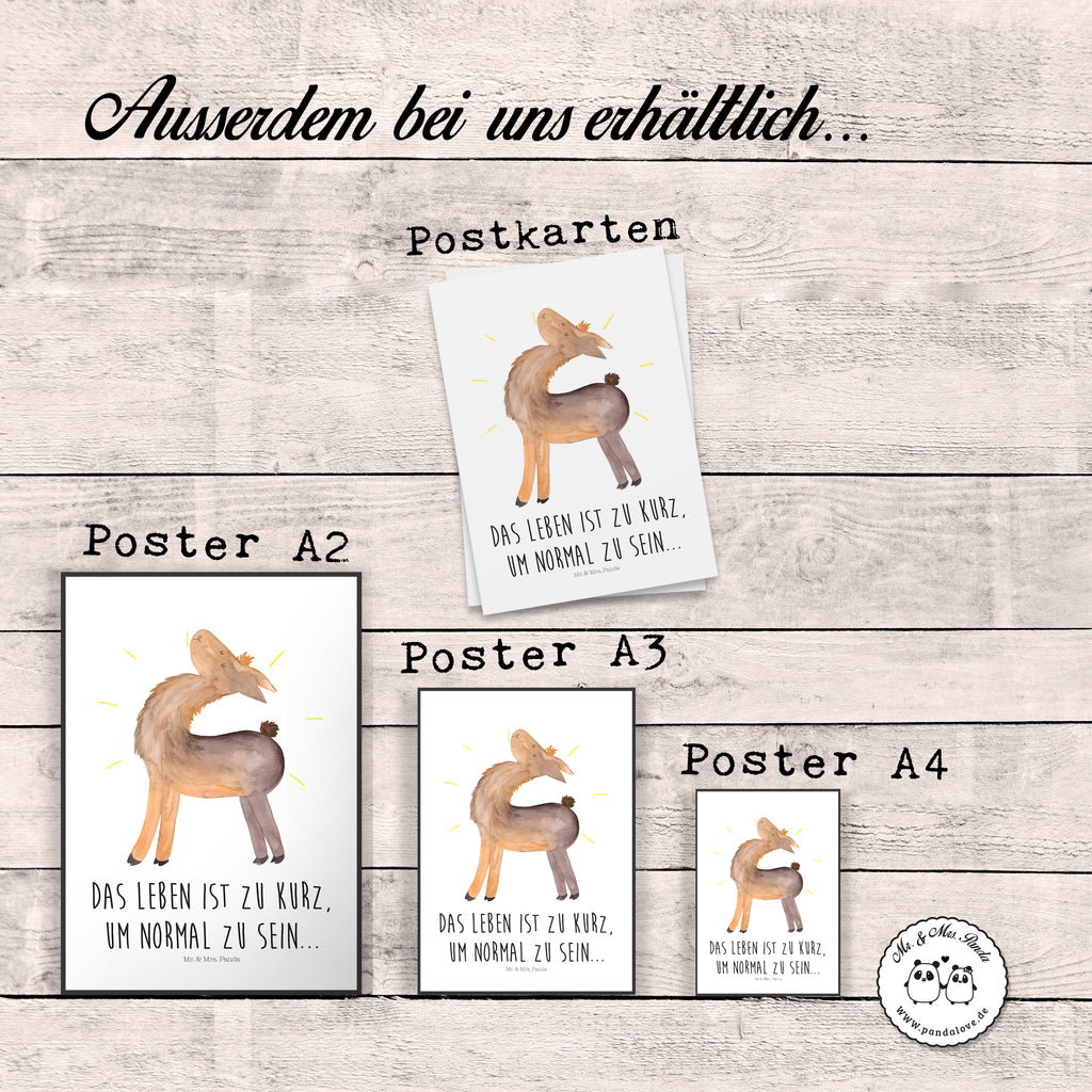 Poster Lama stolz Poster, Wandposter, Bild, Wanddeko, Küchenposter, Kinderposter, Wanddeko Bild, Raumdekoration, Wanddekoration, Handgemaltes Poster, Mr. & Mrs. Panda Poster, Designposter, Kunstdruck, Posterdruck, Lama, Alpaka, Lamas, Außenseiter, Anders, Neustart, stolz, Hippie, Freundin, Freundinnen, beste Freundin, Kumpel, Familie, Family