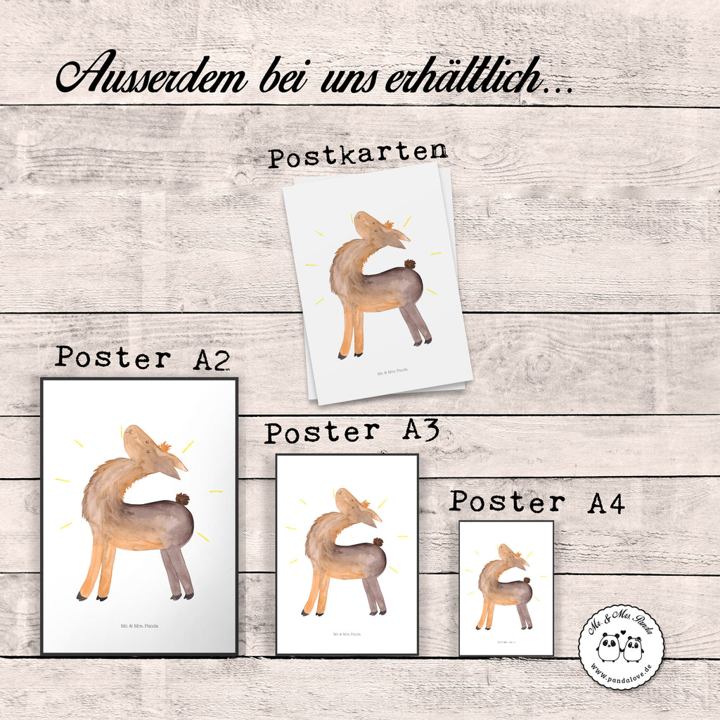 Poster Lama stolz Poster, Wandposter, Bild, Wanddeko, Küchenposter, Kinderposter, Wanddeko Bild, Raumdekoration, Wanddekoration, Handgemaltes Poster, Mr. & Mrs. Panda Poster, Designposter, Kunstdruck, Posterdruck, Lama, Alpaka, Lamas, Außenseiter, Anders, Neustart, stolz, Hippie, Freundin, Freundinnen, beste Freundin, Kumpel, Familie, Family