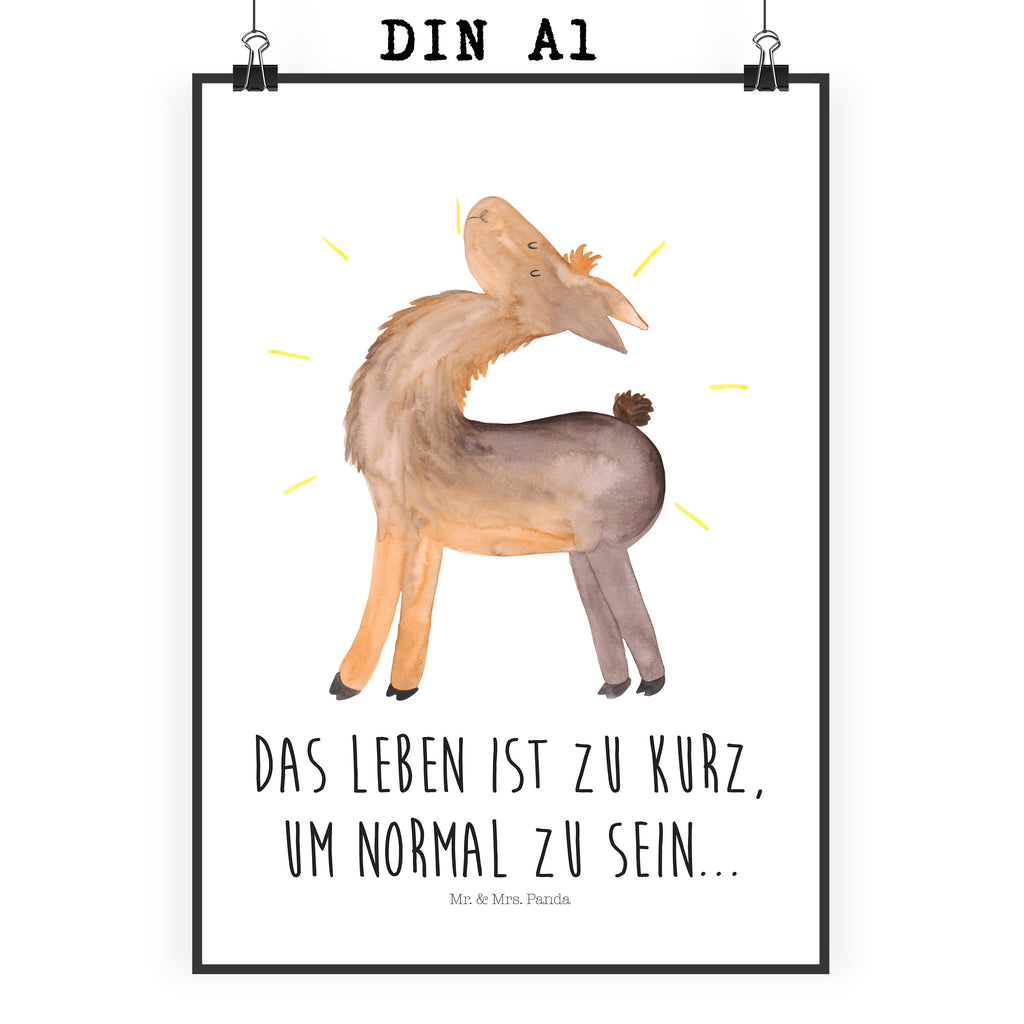 Poster Lama stolz Poster, Wandposter, Bild, Wanddeko, Küchenposter, Kinderposter, Wanddeko Bild, Raumdekoration, Wanddekoration, Handgemaltes Poster, Mr. & Mrs. Panda Poster, Designposter, Kunstdruck, Posterdruck, Lama, Alpaka, Lamas, Außenseiter, Anders, Neustart, stolz, Hippie, Freundin, Freundinnen, beste Freundin, Kumpel, Familie, Family