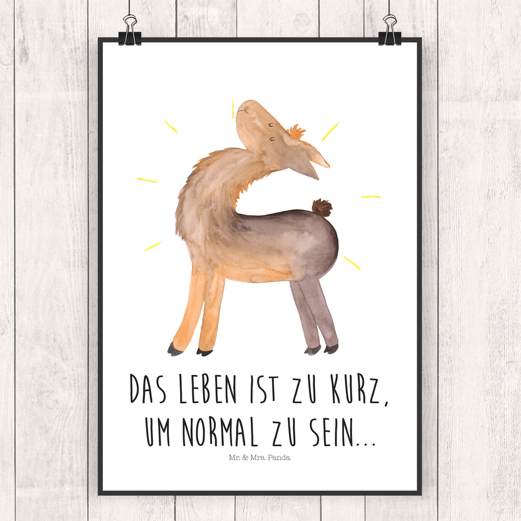 Poster Lama stolz Poster, Wandposter, Bild, Wanddeko, Küchenposter, Kinderposter, Wanddeko Bild, Raumdekoration, Wanddekoration, Handgemaltes Poster, Mr. & Mrs. Panda Poster, Designposter, Kunstdruck, Posterdruck, Lama, Alpaka, Lamas, Außenseiter, Anders, Neustart, stolz, Hippie, Freundin, Freundinnen, beste Freundin, Kumpel, Familie, Family