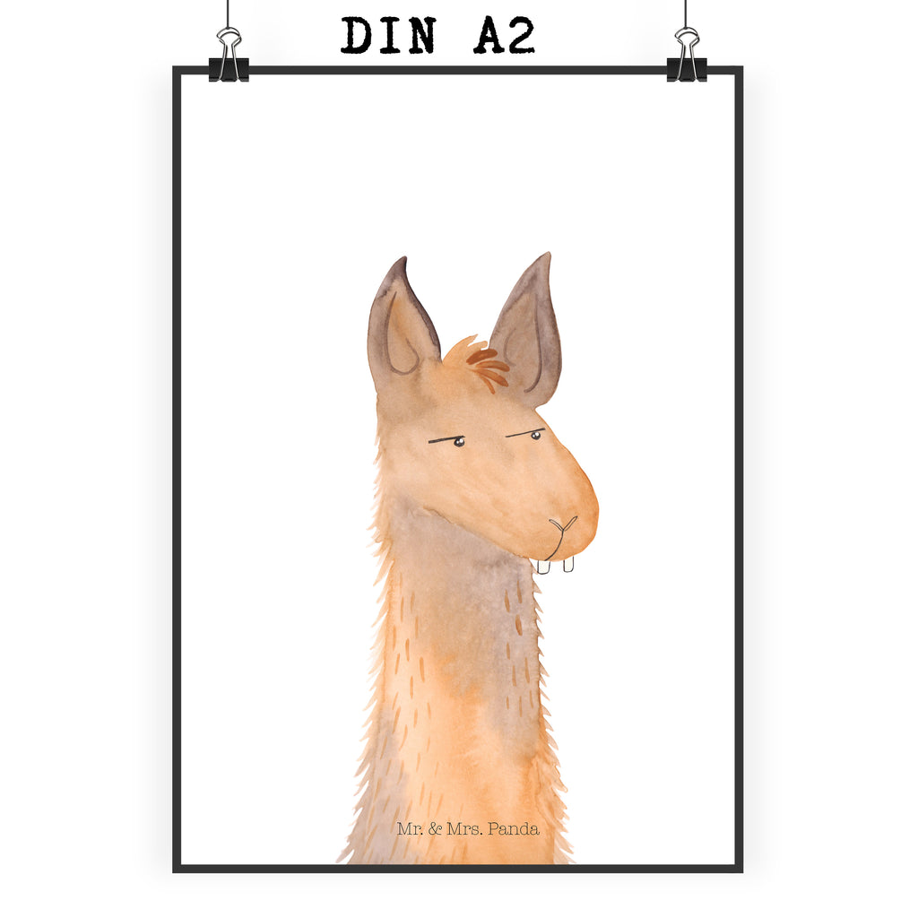 Poster Lamakopf genervt Poster, Wandposter, Bild, Wanddeko, Küchenposter, Kinderposter, Wanddeko Bild, Raumdekoration, Wanddekoration, Handgemaltes Poster, Mr. & Mrs. Panda Poster, Designposter, Kunstdruck, Posterdruck, Lama, Alpaka, Lamas, Recht haben, genervt sein, Freundin, beste Freundin, Partnerin, Büro, Büroalltag, Chef, Chefin, Azubi