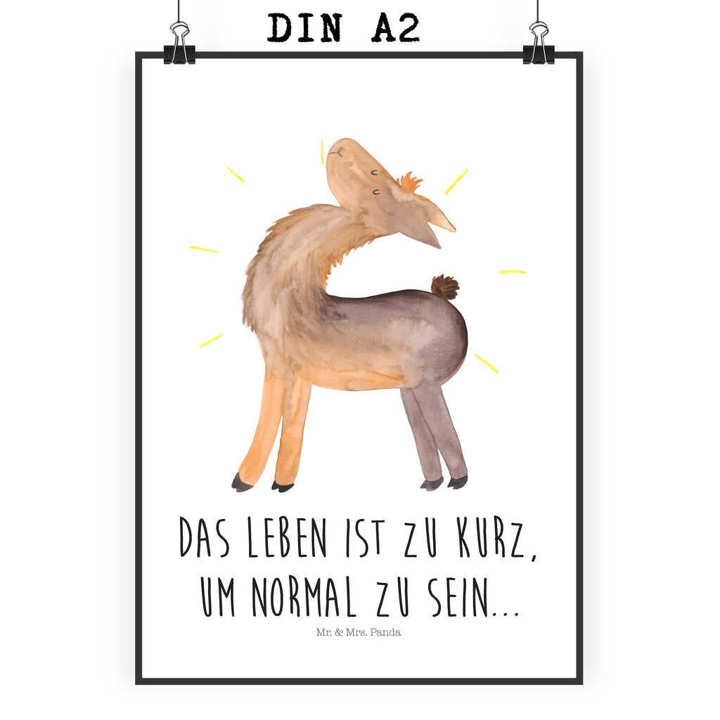 Poster Lama stolz Poster, Wandposter, Bild, Wanddeko, Küchenposter, Kinderposter, Wanddeko Bild, Raumdekoration, Wanddekoration, Handgemaltes Poster, Mr. & Mrs. Panda Poster, Designposter, Kunstdruck, Posterdruck, Lama, Alpaka, Lamas, Außenseiter, Anders, Neustart, stolz, Hippie, Freundin, Freundinnen, beste Freundin, Kumpel, Familie, Family