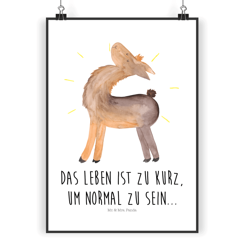 Poster Lama stolz Poster, Wandposter, Bild, Wanddeko, Küchenposter, Kinderposter, Wanddeko Bild, Raumdekoration, Wanddekoration, Handgemaltes Poster, Mr. & Mrs. Panda Poster, Designposter, Kunstdruck, Posterdruck, Lama, Alpaka, Lamas, Außenseiter, Anders, Neustart, stolz, Hippie, Freundin, Freundinnen, beste Freundin, Kumpel, Familie, Family