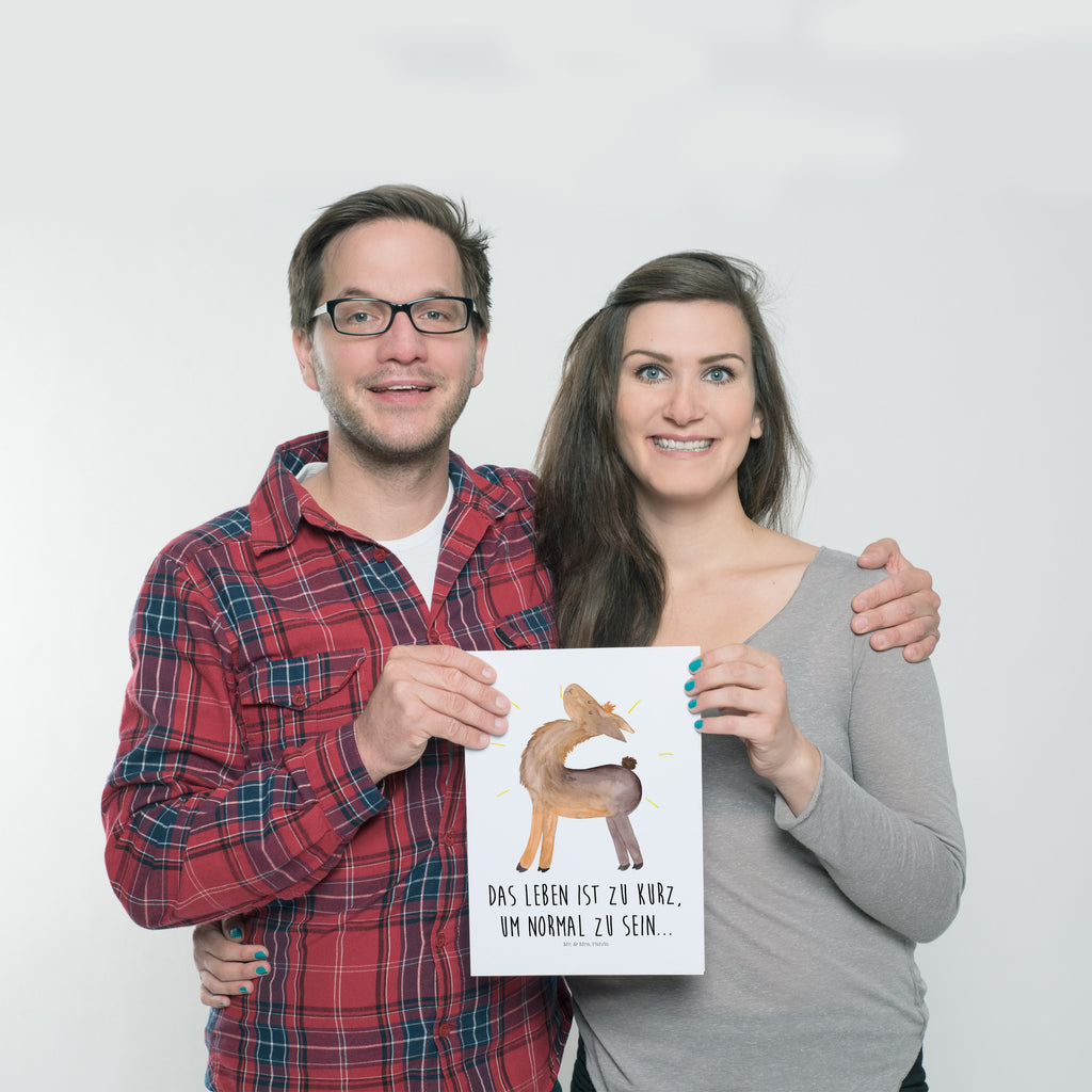 Poster Lama stolz Poster, Wandposter, Bild, Wanddeko, Küchenposter, Kinderposter, Wanddeko Bild, Raumdekoration, Wanddekoration, Handgemaltes Poster, Mr. & Mrs. Panda Poster, Designposter, Kunstdruck, Posterdruck, Lama, Alpaka, Lamas, Außenseiter, Anders, Neustart, stolz, Hippie, Freundin, Freundinnen, beste Freundin, Kumpel, Familie, Family