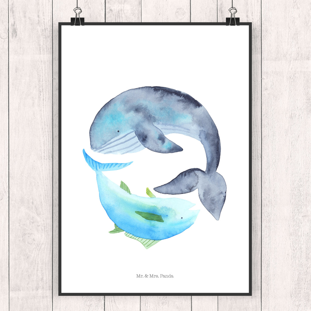 Poster Walfisch & Thunfisch Poster, Wandposter, Bild, Wanddeko, Küchenposter, Kinderposter, Wanddeko Bild, Raumdekoration, Wanddekoration, Handgemaltes Poster, Mr. & Mrs. Panda Poster, Designposter, Kunstdruck, Posterdruck, Tiermotive, Gute Laune, lustige Sprüche, Tiere, Wal, Wahl, Tunfisch, Wortwitz lustig, Spruch lustig, Flachwitz, Witz, Spruch des Tages, Flachwitz Geschenk