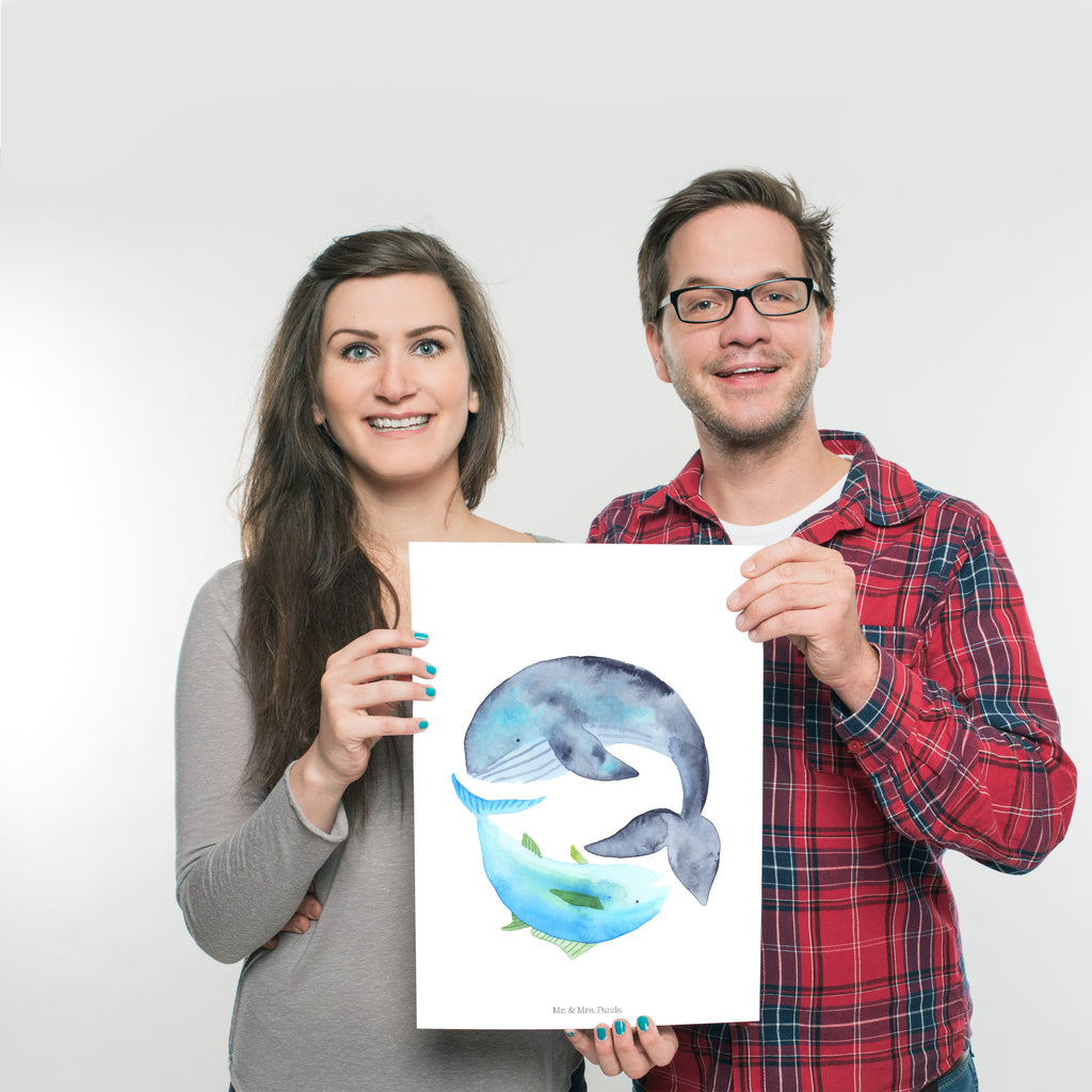 Poster Walfisch & Thunfisch Poster, Wandposter, Bild, Wanddeko, Küchenposter, Kinderposter, Wanddeko Bild, Raumdekoration, Wanddekoration, Handgemaltes Poster, Mr. & Mrs. Panda Poster, Designposter, Kunstdruck, Posterdruck, Tiermotive, Gute Laune, lustige Sprüche, Tiere, Wal, Wahl, Tunfisch, Wortwitz lustig, Spruch lustig, Flachwitz, Witz, Spruch des Tages, Flachwitz Geschenk