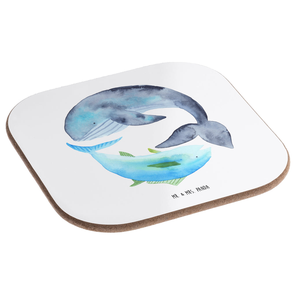 Quadratische Untersetzer Walfisch & Thunfisch Bierdeckel, Glasuntersetzer, Untersetzer Gläser, Getränkeuntersetzer, Tiermotive, Gute Laune, lustige Sprüche, Tiere, Wal, Wahl, Tunfisch, Wortwitz lustig, Spruch lustig, Flachwitz, Witz, Spruch des Tages, Flachwitz Geschenk