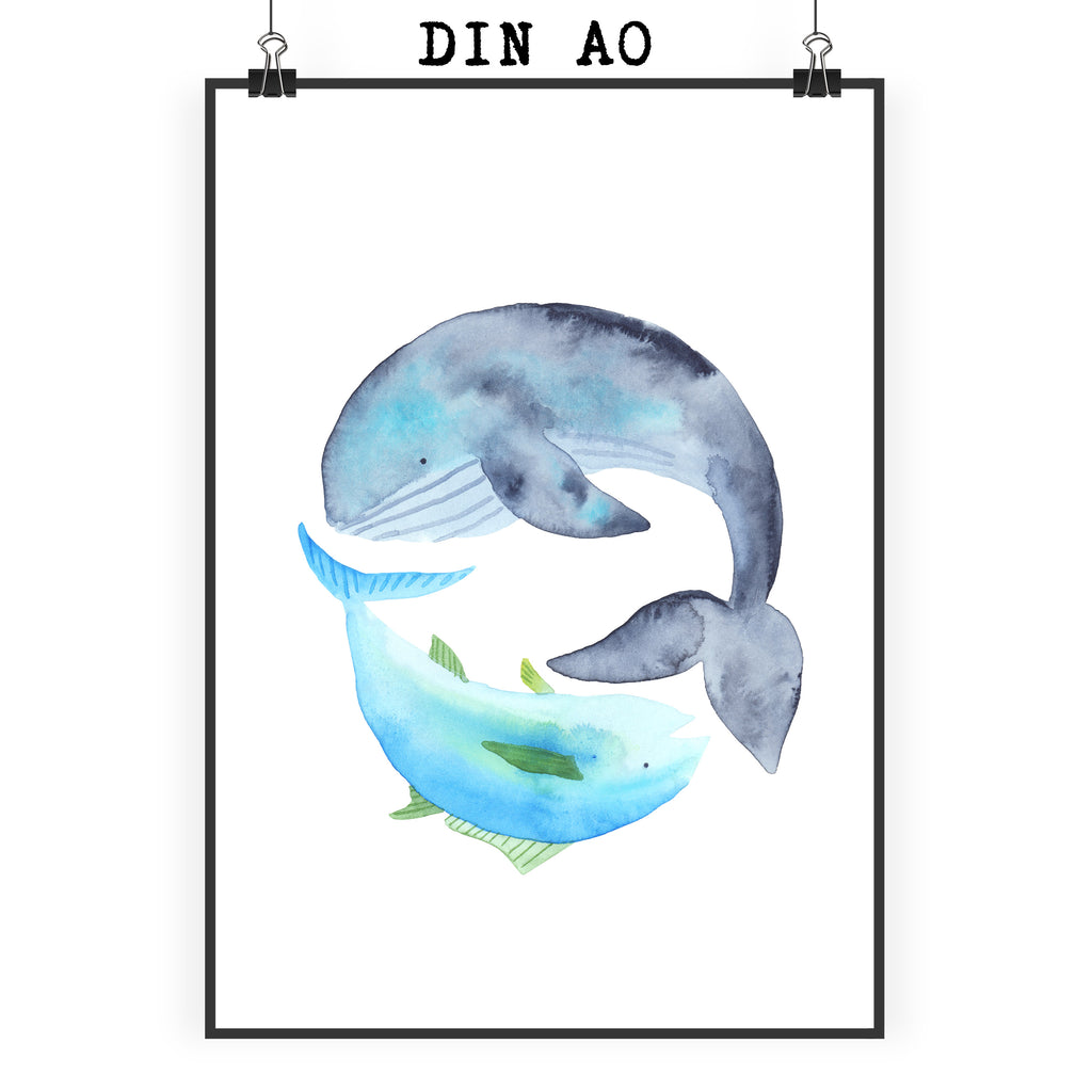 Poster Walfisch & Thunfisch Poster, Wandposter, Bild, Wanddeko, Küchenposter, Kinderposter, Wanddeko Bild, Raumdekoration, Wanddekoration, Handgemaltes Poster, Mr. & Mrs. Panda Poster, Designposter, Kunstdruck, Posterdruck, Tiermotive, Gute Laune, lustige Sprüche, Tiere, Wal, Wahl, Tunfisch, Wortwitz lustig, Spruch lustig, Flachwitz, Witz, Spruch des Tages, Flachwitz Geschenk