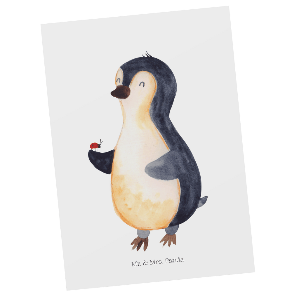 Postkarte Pinguin Marienkäfer Geschenkkarte, Grußkarte, Karte, Einladung, Ansichtskarte, Geburtstagskarte, Einladungskarte, Pinguin, Pinguine, Marienkäfer, Liebe, Wunder, Glück, Freude, Lebensfreude