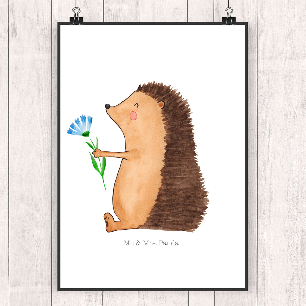 Poster Igel mit Blume Poster, Wandposter, Bild, Wanddeko, Küchenposter, Kinderposter, Wanddeko Bild, Raumdekoration, Wanddekoration, Handgemaltes Poster, Mr. & Mrs. Panda Poster, Designposter, Kunstdruck, Posterdruck, Tiermotive, Gute Laune, lustige Sprüche, Tiere, Igel, Gute Besserung, Genesungswünsche, Krankheit, Krankenhaus, krank, Besuch
