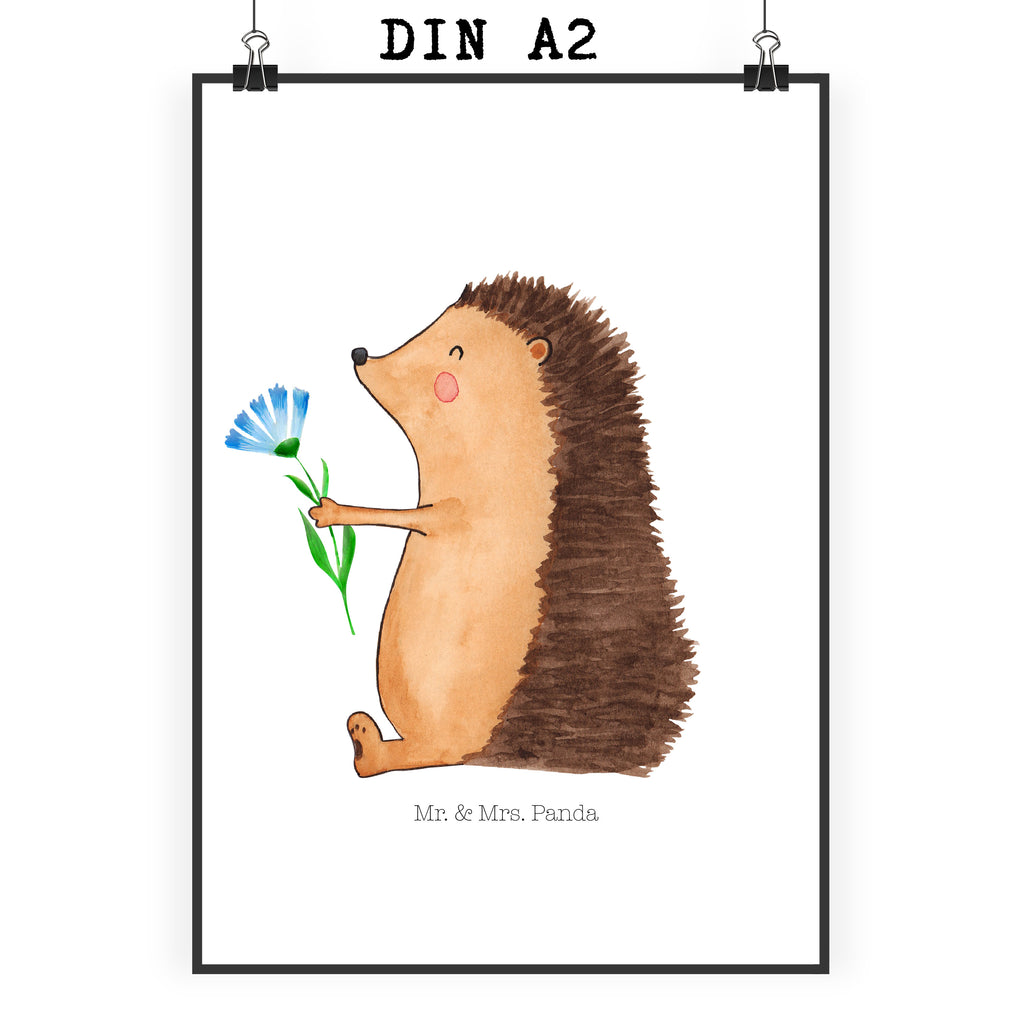 Poster Igel mit Blume Poster, Wandposter, Bild, Wanddeko, Küchenposter, Kinderposter, Wanddeko Bild, Raumdekoration, Wanddekoration, Handgemaltes Poster, Mr. & Mrs. Panda Poster, Designposter, Kunstdruck, Posterdruck, Tiermotive, Gute Laune, lustige Sprüche, Tiere, Igel, Gute Besserung, Genesungswünsche, Krankheit, Krankenhaus, krank, Besuch