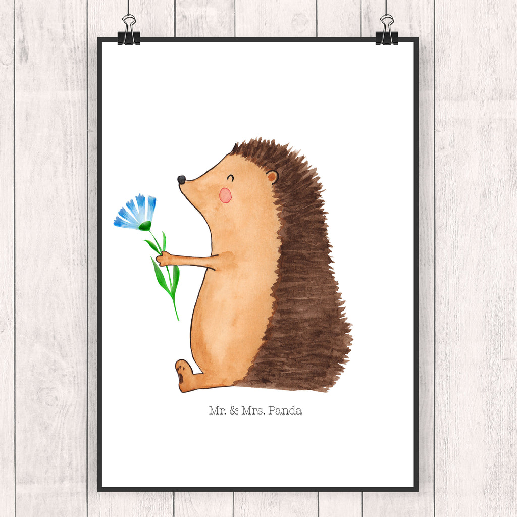 Poster Igel mit Blume Poster, Wandposter, Bild, Wanddeko, Küchenposter, Kinderposter, Wanddeko Bild, Raumdekoration, Wanddekoration, Handgemaltes Poster, Mr. & Mrs. Panda Poster, Designposter, Kunstdruck, Posterdruck, Tiermotive, Gute Laune, lustige Sprüche, Tiere, Igel, Gute Besserung, Genesungswünsche, Krankheit, Krankenhaus, krank, Besuch