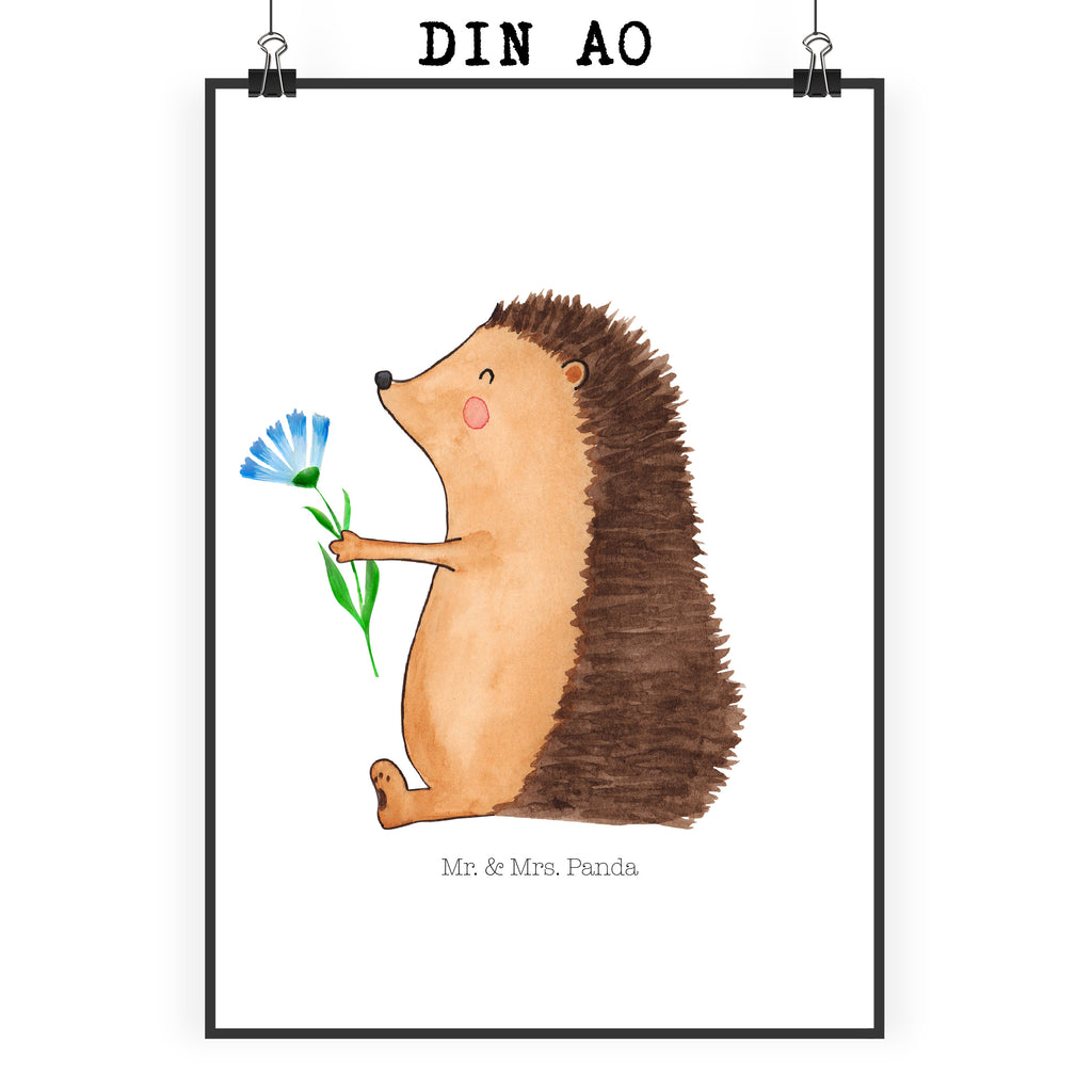 Poster Igel mit Blume Poster, Wandposter, Bild, Wanddeko, Küchenposter, Kinderposter, Wanddeko Bild, Raumdekoration, Wanddekoration, Handgemaltes Poster, Mr. & Mrs. Panda Poster, Designposter, Kunstdruck, Posterdruck, Tiermotive, Gute Laune, lustige Sprüche, Tiere, Igel, Gute Besserung, Genesungswünsche, Krankheit, Krankenhaus, krank, Besuch