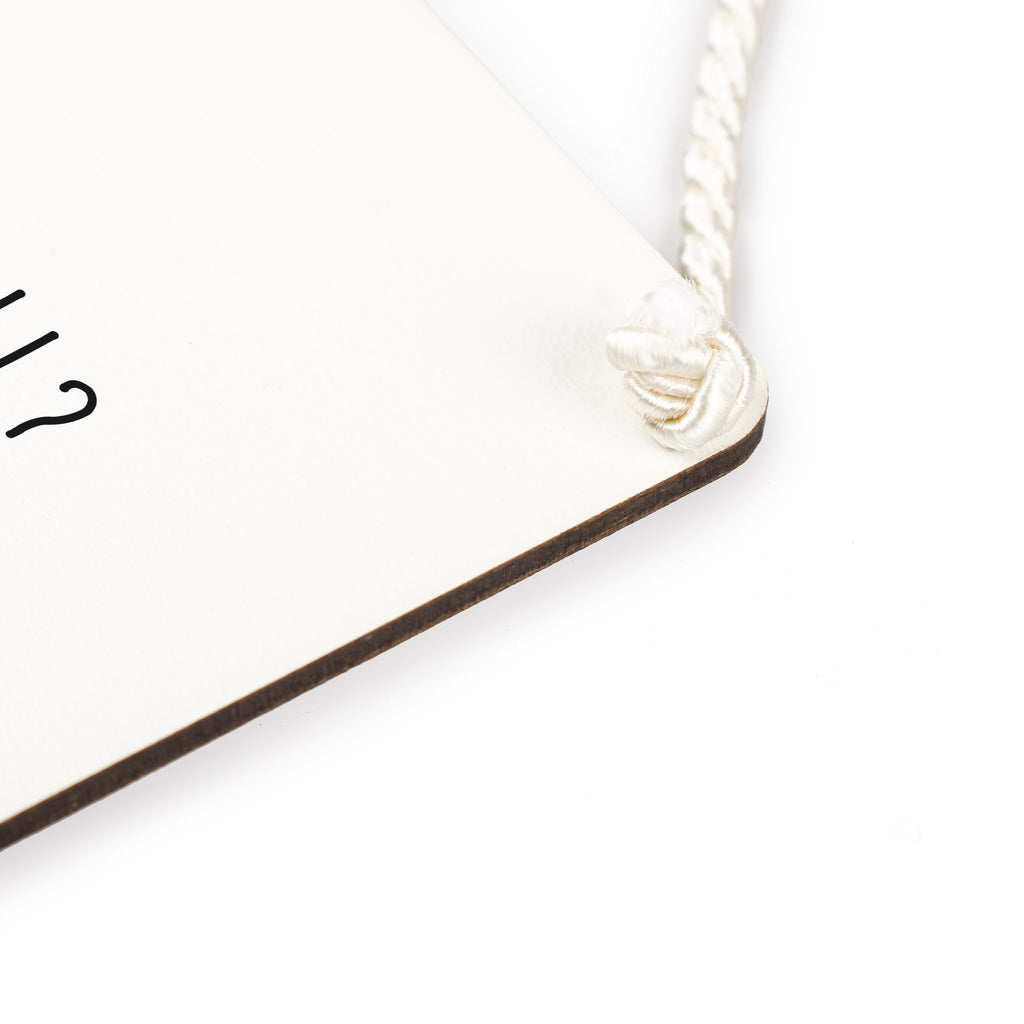 Deko Schild Rotkehlchen mit Federn Dekoschild, Deko Schild, Schild, Tür Schild, Türschild, Holzschild, Wandschild, Wanddeko, Tiermotive, Gute Laune, lustige Sprüche, Tiere, What if i fall, Rotkehlchen, Spruch Motivation, Spruch Mut, Vogel, Motivation Sprüche, Motivationsbilder, fliegen