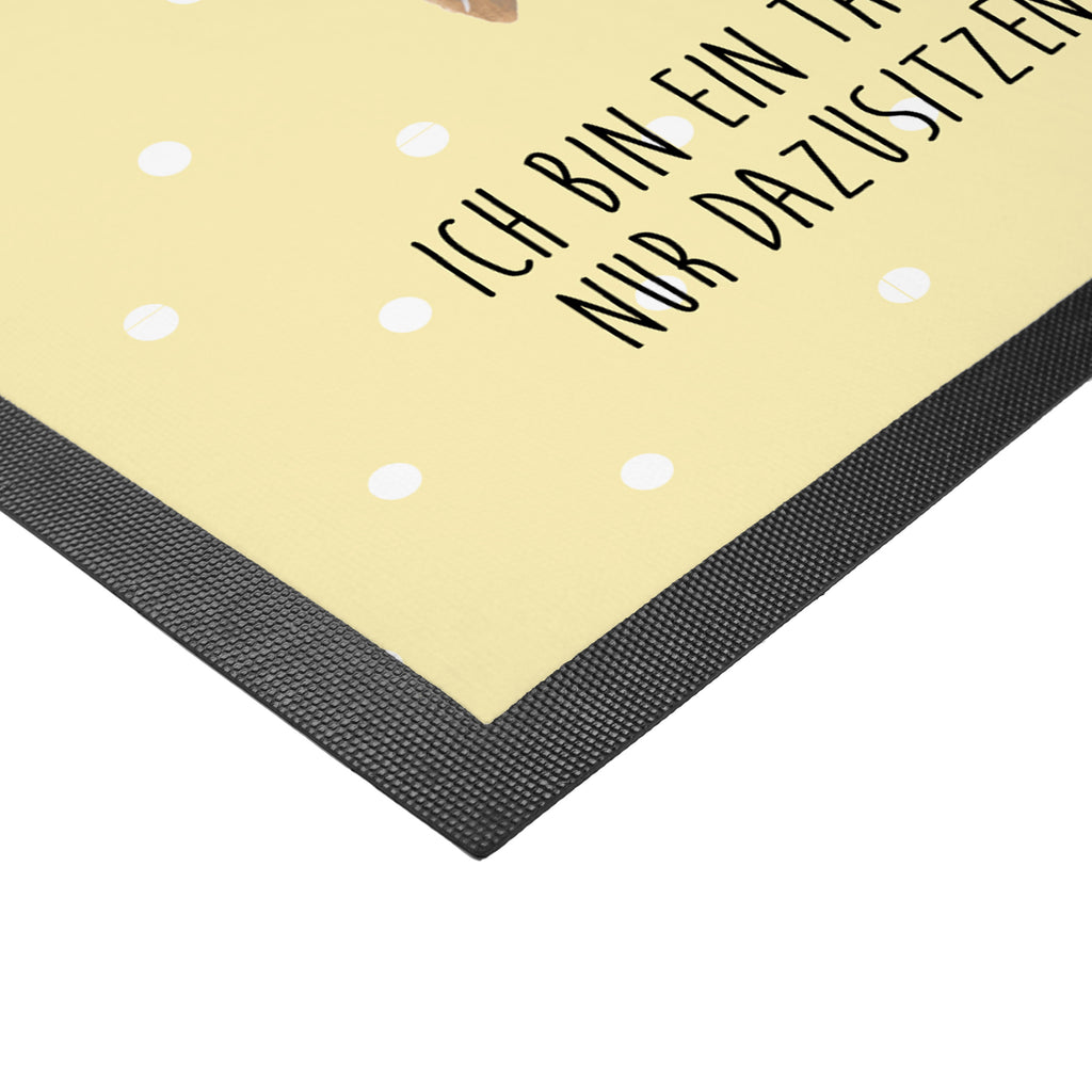 Fußmatte Robbe lachend Robbe, Robben, Seehund, Strand, Meerestier, Ostsee, Nordsee Türvorleger, Schmutzmatte, Fußabtreter, Matte, Schmutzfänger, Fußabstreifer, Schmutzfangmatte, Türmatte, Motivfußmatte,  Haustürmatte, Vorleger  süße Tiermotive, gute Laune, lustige Sprüche, Tiere