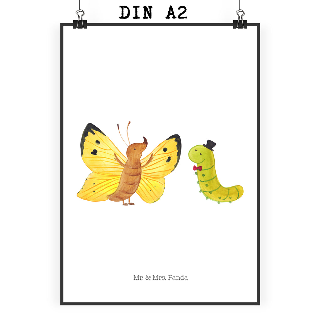 Poster Raupe & Schmetterling Poster, Wandposter, Bild, Wanddeko, Küchenposter, Kinderposter, Wanddeko Bild, Raumdekoration, Wanddekoration, Handgemaltes Poster, Mr. & Mrs. Panda Poster, Designposter, Kunstdruck, Posterdruck, Tiermotive, Gute Laune, lustige Sprüche, Tiere, Raupe, Schmetterling, Zitronenfalter, Entwicklung, Erwachsen werden, Kokon, Hut, Hütchen, Schönheit, Aufwachsen