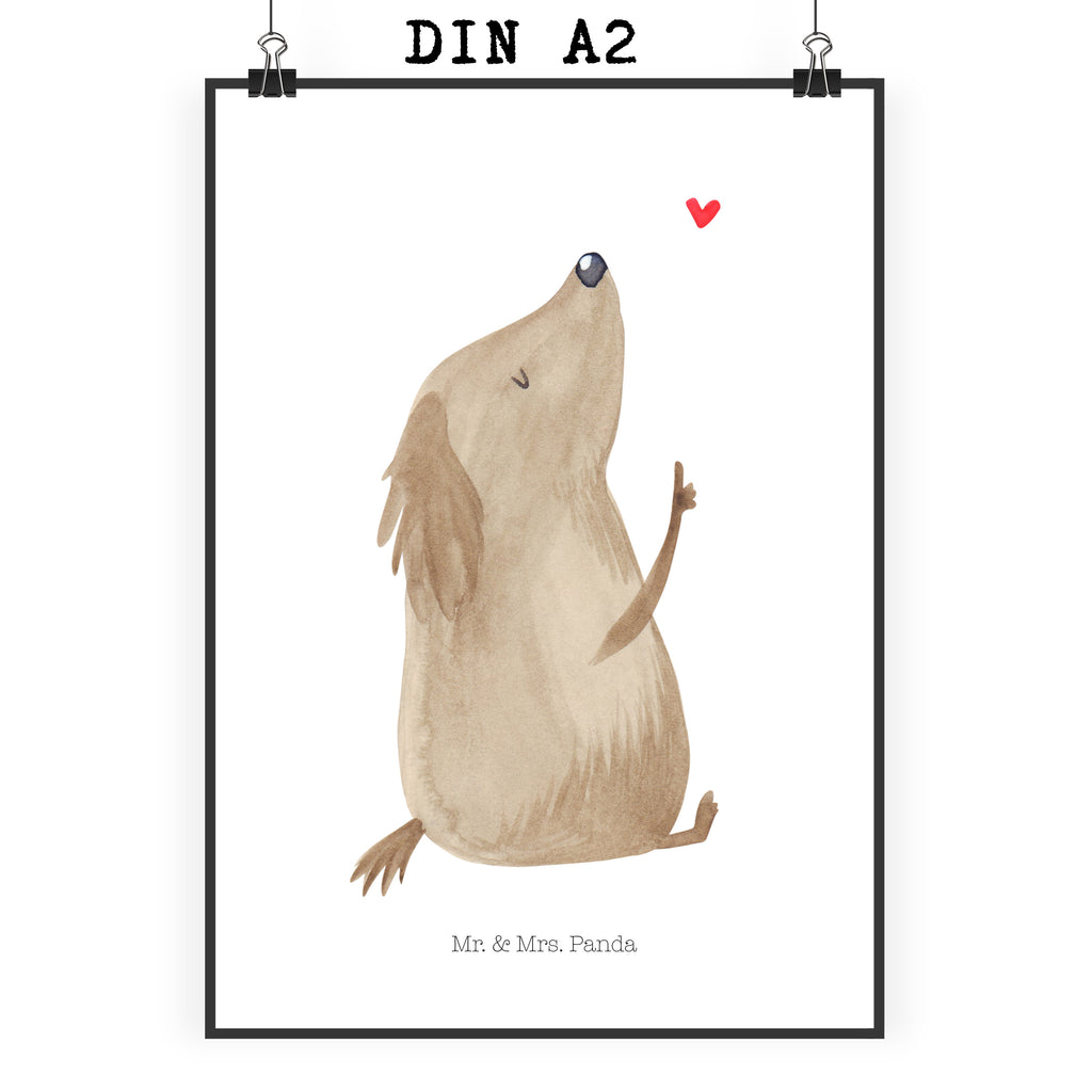 Poster Hund Liebe Poster, Wandposter, Bild, Wanddeko, Küchenposter, Kinderposter, Wanddeko Bild, Raumdekoration, Wanddekoration, Handgemaltes Poster, Mr. & Mrs. Panda Poster, Designposter, Kunstdruck, Posterdruck, Hund, Hundemotiv, Haustier, Hunderasse, Tierliebhaber, Hundebesitzer, Sprüche, Liebe, Hundeglück, Hundeliebe, Hunde, Frauchen