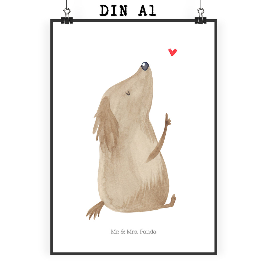 Poster Hund Liebe Poster, Wandposter, Bild, Wanddeko, Küchenposter, Kinderposter, Wanddeko Bild, Raumdekoration, Wanddekoration, Handgemaltes Poster, Mr. & Mrs. Panda Poster, Designposter, Kunstdruck, Posterdruck, Hund, Hundemotiv, Haustier, Hunderasse, Tierliebhaber, Hundebesitzer, Sprüche, Liebe, Hundeglück, Hundeliebe, Hunde, Frauchen