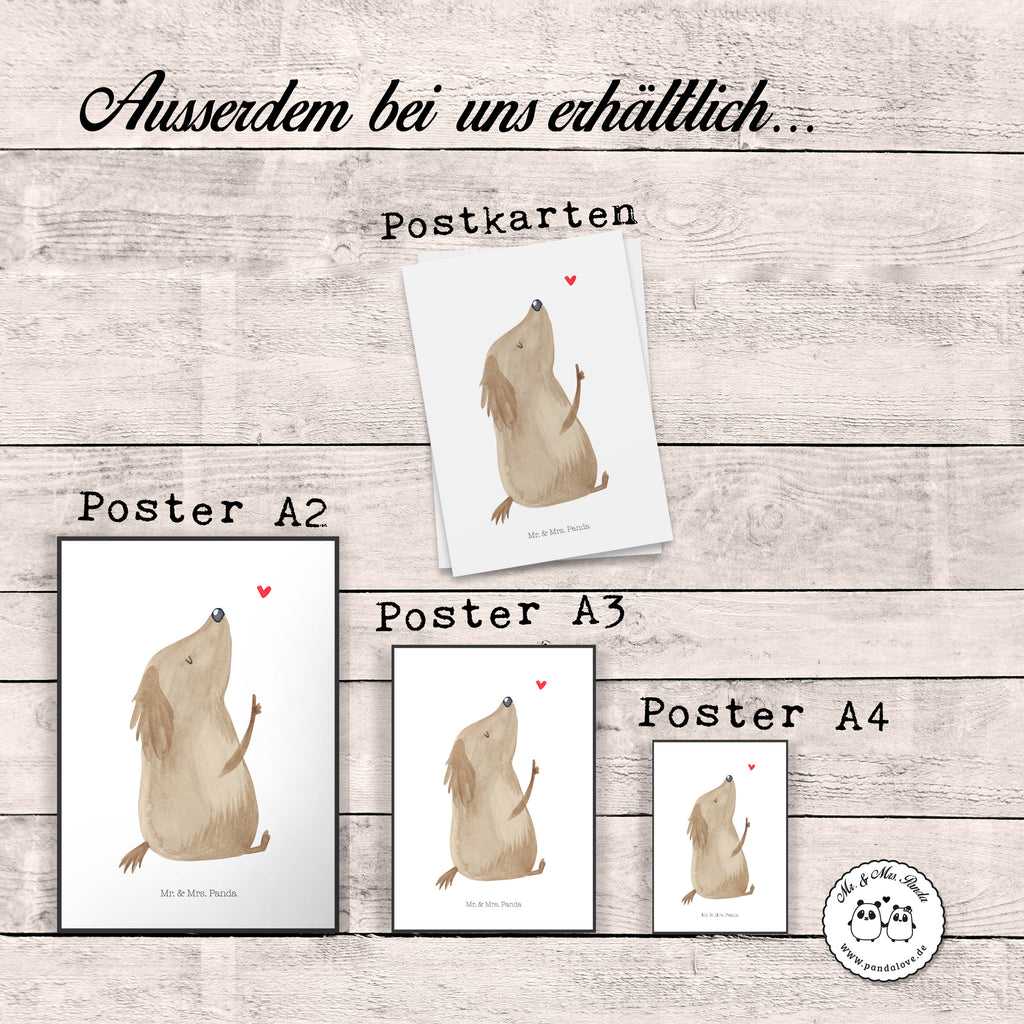 Poster Hund Liebe Poster, Wandposter, Bild, Wanddeko, Küchenposter, Kinderposter, Wanddeko Bild, Raumdekoration, Wanddekoration, Handgemaltes Poster, Mr. & Mrs. Panda Poster, Designposter, Kunstdruck, Posterdruck, Hund, Hundemotiv, Haustier, Hunderasse, Tierliebhaber, Hundebesitzer, Sprüche, Liebe, Hundeglück, Hundeliebe, Hunde, Frauchen