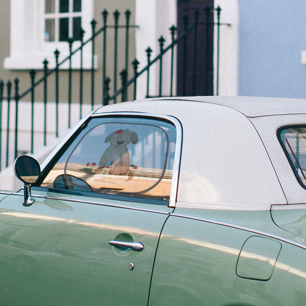 Auto Sonnenschutz Hund Hundedame Auto Sonnenschutz, Sonnenschutz Baby, Sonnenschutz Kinder, Sonne, Sonnenblende, Sonnenschutzfolie, Sonne Auto, Hund, Hundemotiv, Haustier, Hunderasse, Tierliebhaber, Hundebesitzer, Sprüche, Hunde, Hundeliebe, Hundeglück, Liebe, Frauchen