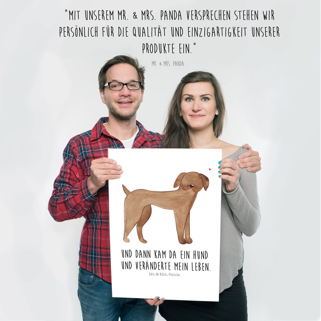 Poster Hund Dogge Poster, Wandposter, Bild, Wanddeko, Küchenposter, Kinderposter, Wanddeko Bild, Raumdekoration, Wanddekoration, Handgemaltes Poster, Mr. & Mrs. Panda Poster, Designposter, Kunstdruck, Posterdruck, Hund, Hundemotiv, Haustier, Hunderasse, Tierliebhaber, Hundebesitzer, Sprüche, Hunde, Dogge, Deutsche Dogge, Great Dane