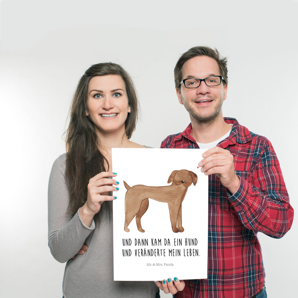 Poster Hund Dogge Poster, Wandposter, Bild, Wanddeko, Küchenposter, Kinderposter, Wanddeko Bild, Raumdekoration, Wanddekoration, Handgemaltes Poster, Mr. & Mrs. Panda Poster, Designposter, Kunstdruck, Posterdruck, Hund, Hundemotiv, Haustier, Hunderasse, Tierliebhaber, Hundebesitzer, Sprüche, Hunde, Dogge, Deutsche Dogge, Great Dane
