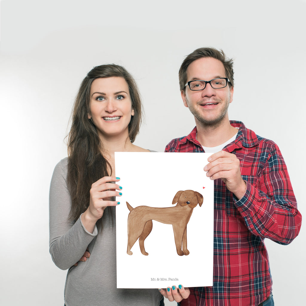 Poster Hund Dogge Poster, Wandposter, Bild, Wanddeko, Küchenposter, Kinderposter, Wanddeko Bild, Raumdekoration, Wanddekoration, Handgemaltes Poster, Mr. & Mrs. Panda Poster, Designposter, Kunstdruck, Posterdruck, Hund, Hundemotiv, Haustier, Hunderasse, Tierliebhaber, Hundebesitzer, Sprüche, Hunde, Dogge, Deutsche Dogge, Great Dane
