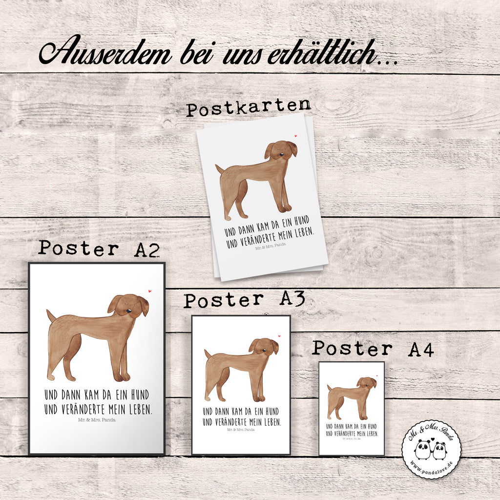 Poster Hund Dogge Poster, Wandposter, Bild, Wanddeko, Küchenposter, Kinderposter, Wanddeko Bild, Raumdekoration, Wanddekoration, Handgemaltes Poster, Mr. & Mrs. Panda Poster, Designposter, Kunstdruck, Posterdruck, Hund, Hundemotiv, Haustier, Hunderasse, Tierliebhaber, Hundebesitzer, Sprüche, Hunde, Dogge, Deutsche Dogge, Great Dane
