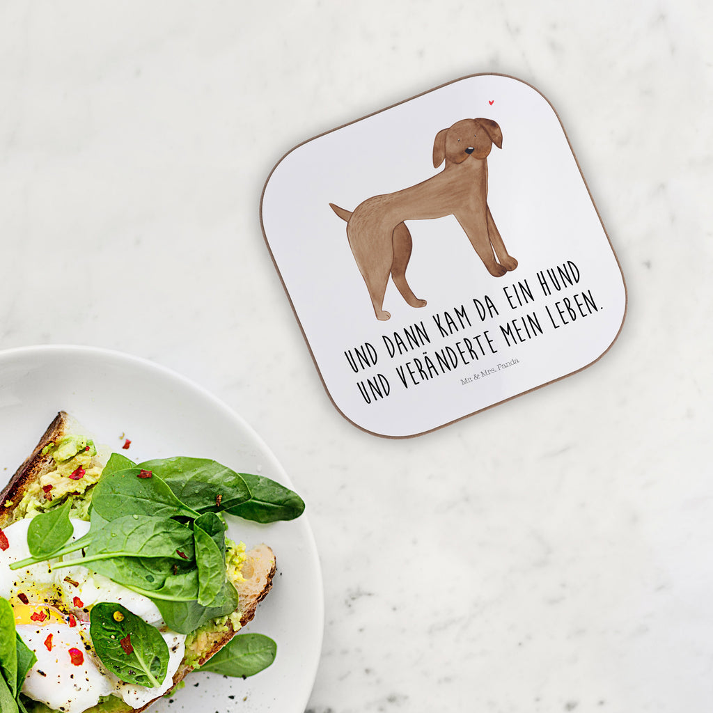 Quadratische Untersetzer Hund Dogge Bierdeckel, Glasuntersetzer, Untersetzer Gläser, Getränkeuntersetzer, Hund, Hundemotiv, Haustier, Hunderasse, Tierliebhaber, Hundebesitzer, Sprüche, Hunde, Dogge, Deutsche Dogge, Great Dane