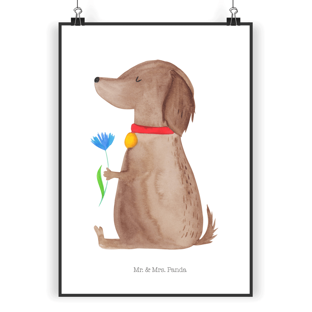 Poster Hund Blume Poster, Wandposter, Bild, Wanddeko, Küchenposter, Kinderposter, Wanddeko Bild, Raumdekoration, Wanddekoration, Handgemaltes Poster, Mr. & Mrs. Panda Poster, Designposter, Kunstdruck, Posterdruck, Hund, Hundemotiv, Haustier, Hunderasse, Tierliebhaber, Hundebesitzer, Sprüche, Hunde, Frauchen, Hundeliebe