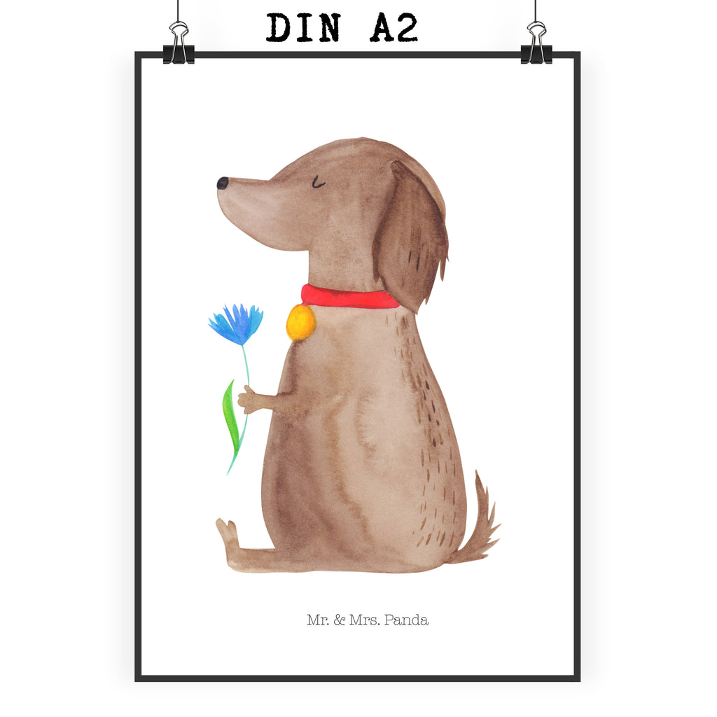 Poster Hund Blume Poster, Wandposter, Bild, Wanddeko, Küchenposter, Kinderposter, Wanddeko Bild, Raumdekoration, Wanddekoration, Handgemaltes Poster, Mr. & Mrs. Panda Poster, Designposter, Kunstdruck, Posterdruck, Hund, Hundemotiv, Haustier, Hunderasse, Tierliebhaber, Hundebesitzer, Sprüche, Hunde, Frauchen, Hundeliebe