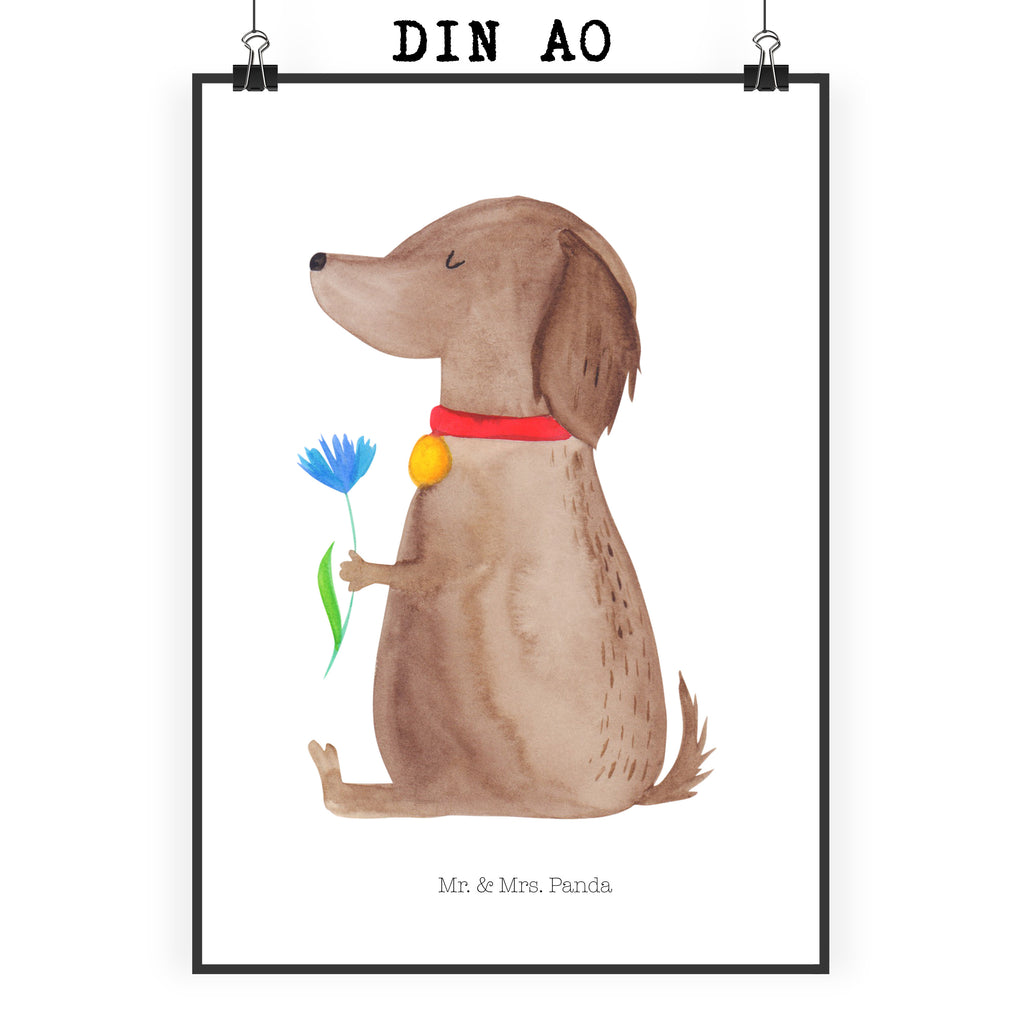 Poster Hund Blume Poster, Wandposter, Bild, Wanddeko, Küchenposter, Kinderposter, Wanddeko Bild, Raumdekoration, Wanddekoration, Handgemaltes Poster, Mr. & Mrs. Panda Poster, Designposter, Kunstdruck, Posterdruck, Hund, Hundemotiv, Haustier, Hunderasse, Tierliebhaber, Hundebesitzer, Sprüche, Hunde, Frauchen, Hundeliebe