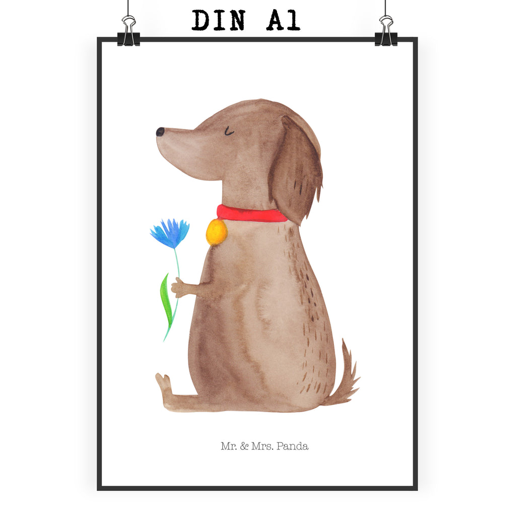 Poster Hund Blume Poster, Wandposter, Bild, Wanddeko, Küchenposter, Kinderposter, Wanddeko Bild, Raumdekoration, Wanddekoration, Handgemaltes Poster, Mr. & Mrs. Panda Poster, Designposter, Kunstdruck, Posterdruck, Hund, Hundemotiv, Haustier, Hunderasse, Tierliebhaber, Hundebesitzer, Sprüche, Hunde, Frauchen, Hundeliebe