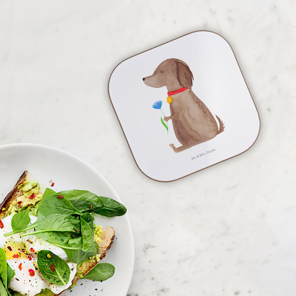 Quadratische Untersetzer Hund Blume Bierdeckel, Glasuntersetzer, Untersetzer Gläser, Getränkeuntersetzer, Hund, Hundemotiv, Haustier, Hunderasse, Tierliebhaber, Hundebesitzer, Sprüche, Hunde, Frauchen, Hundeliebe