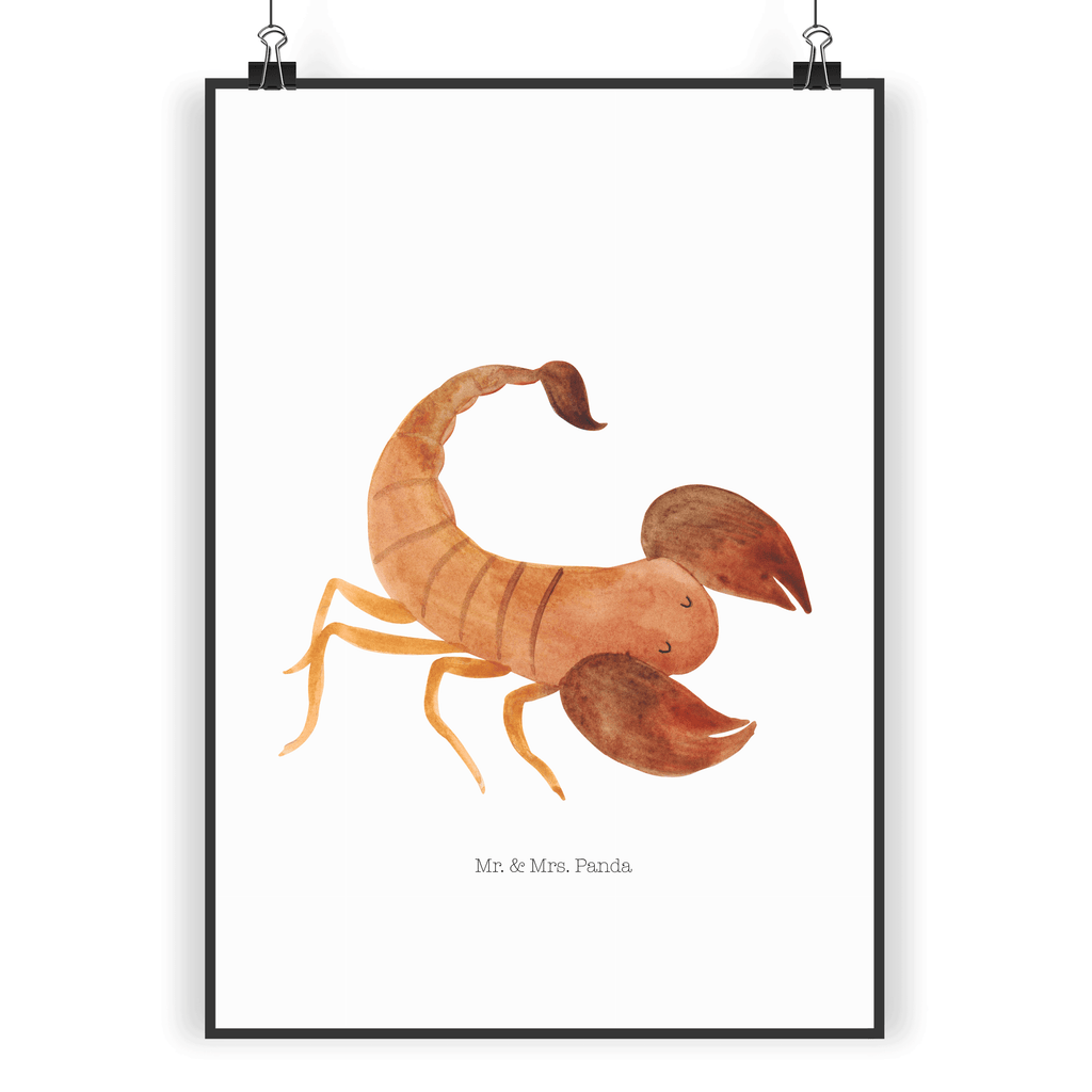 Poster Sternzeichen Skorpion Poster, Wandposter, Bild, Wanddeko, Küchenposter, Kinderposter, Wanddeko Bild, Raumdekoration, Wanddekoration, Handgemaltes Poster, Mr. & Mrs. Panda Poster, Designposter, Kunstdruck, Posterdruck, Tierkreiszeichen, Sternzeichen, Horoskop, Astrologie, Aszendent, Skorpione, Skorpion Geschenk, Skorpion Sternzeichen, Geschenk Oktober, Geschenk November, Geburtstag Oktober, Geburtstag November