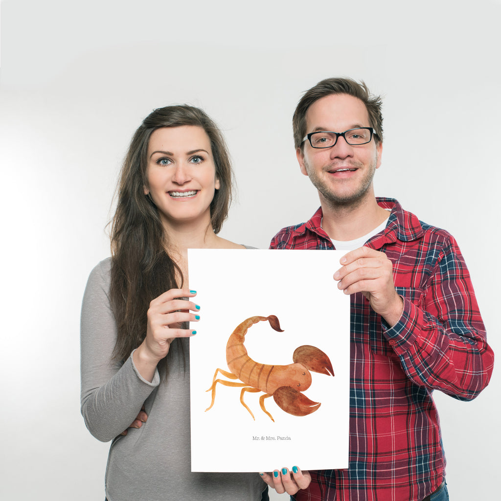 Poster Sternzeichen Skorpion Poster, Wandposter, Bild, Wanddeko, Küchenposter, Kinderposter, Wanddeko Bild, Raumdekoration, Wanddekoration, Handgemaltes Poster, Mr. & Mrs. Panda Poster, Designposter, Kunstdruck, Posterdruck, Tierkreiszeichen, Sternzeichen, Horoskop, Astrologie, Aszendent, Skorpione, Skorpion Geschenk, Skorpion Sternzeichen, Geschenk Oktober, Geschenk November, Geburtstag Oktober, Geburtstag November