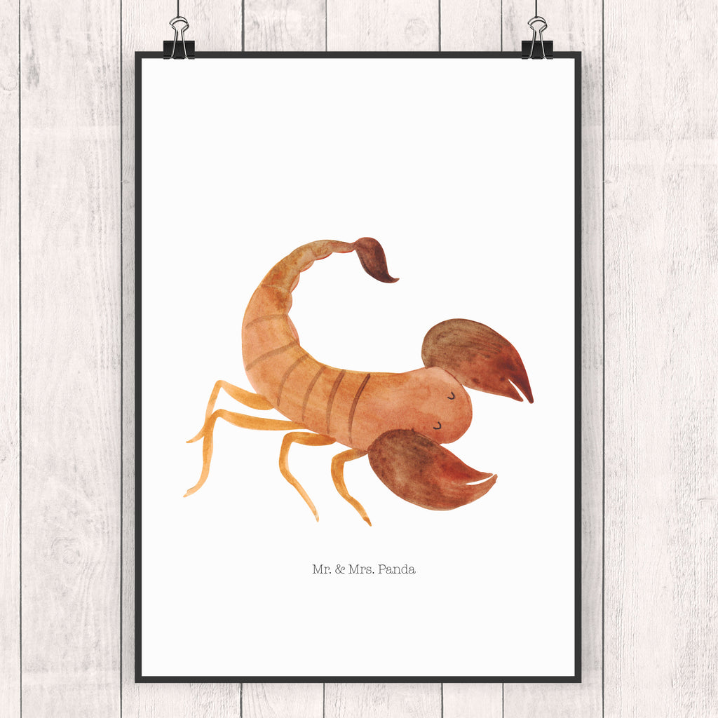 Poster Sternzeichen Skorpion Poster, Wandposter, Bild, Wanddeko, Küchenposter, Kinderposter, Wanddeko Bild, Raumdekoration, Wanddekoration, Handgemaltes Poster, Mr. & Mrs. Panda Poster, Designposter, Kunstdruck, Posterdruck, Tierkreiszeichen, Sternzeichen, Horoskop, Astrologie, Aszendent, Skorpione, Skorpion Geschenk, Skorpion Sternzeichen, Geschenk Oktober, Geschenk November, Geburtstag Oktober, Geburtstag November