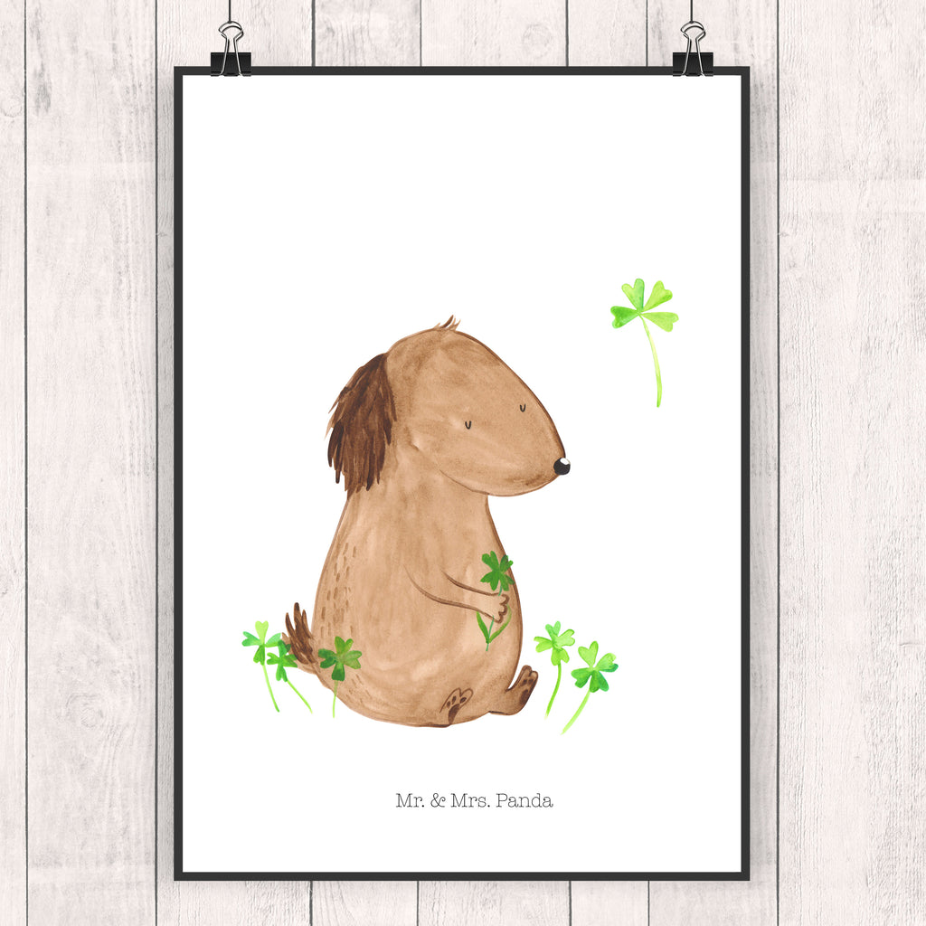 Poster Hund Kleeblatt Poster, Wandposter, Bild, Wanddeko, Küchenposter, Kinderposter, Wanddeko Bild, Raumdekoration, Wanddekoration, Handgemaltes Poster, Mr. & Mrs. Panda Poster, Designposter, Kunstdruck, Posterdruck, Hund, Hundemotiv, Haustier, Hunderasse, Tierliebhaber, Hundebesitzer, Sprüche, Kleeblatt, Glück, Tagträume, Motivation, Neuanfang, Geschenk, Glücksbringer, Selbstliebe, Achtsamkeit