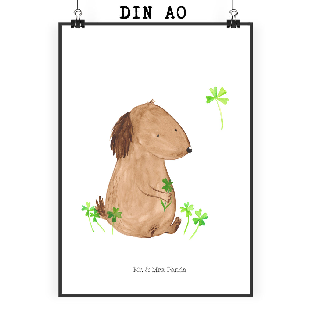 Poster Hund Kleeblatt Poster, Wandposter, Bild, Wanddeko, Küchenposter, Kinderposter, Wanddeko Bild, Raumdekoration, Wanddekoration, Handgemaltes Poster, Mr. & Mrs. Panda Poster, Designposter, Kunstdruck, Posterdruck, Hund, Hundemotiv, Haustier, Hunderasse, Tierliebhaber, Hundebesitzer, Sprüche, Kleeblatt, Glück, Tagträume, Motivation, Neuanfang, Geschenk, Glücksbringer, Selbstliebe, Achtsamkeit