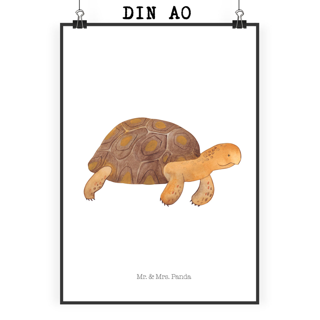 Poster Schildkröte marschiert Poster, Wandposter, Bild, Wanddeko, Küchenposter, Kinderposter, Wanddeko Bild, Raumdekoration, Wanddekoration, Handgemaltes Poster, Mr. & Mrs. Panda Poster, Designposter, Kunstdruck, Posterdruck, Meerestiere, Meer, Urlaub, Schildkröte, Schildkröten, get lost, Abenteuer, Reiselust, Inspiration, Neustart, Motivation, Lieblingsmensch